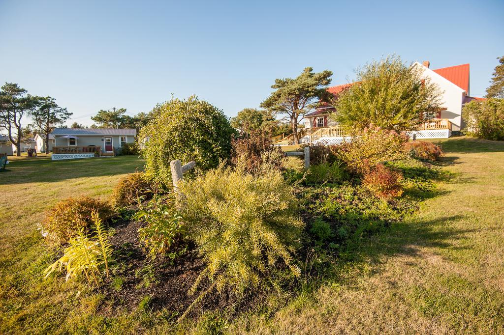 Cavendish Lodge & Cottages Exterior photo